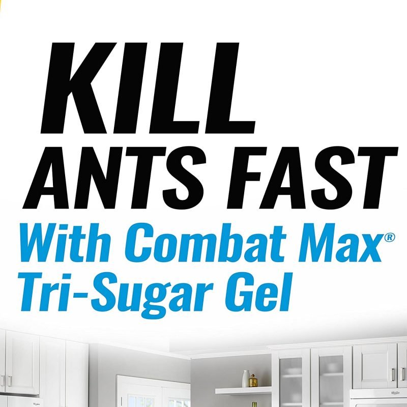 Combat Max - Ant Killing Gel Bait Station, Indoor and Outdoor Use