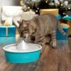 PetSafe - Drinkwell Butterfly Small Dog or Cat Automatic Water Fountain